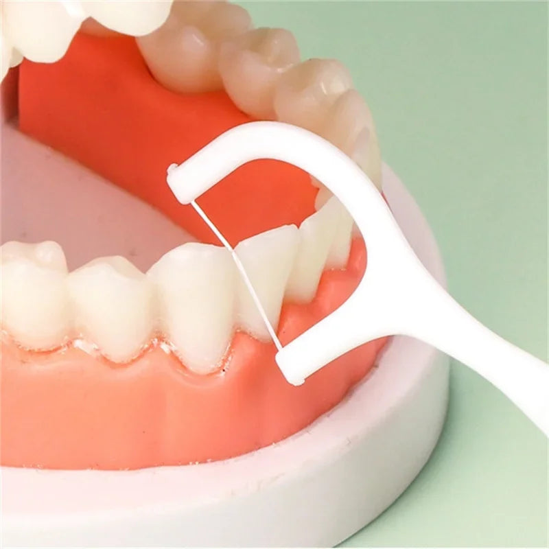 Portable Dental Floss Picks Box